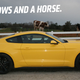 Illustration for article titled 2015 Ford Mustang EcoBoost: The Jalopnik Review